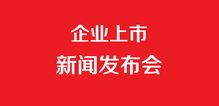 企業(yè)上市發(fā)布會(huì)與企業(yè)形象策劃 雙輪驅(qū)動(dòng)，共鑄品牌新篇章