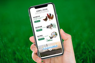 自然之涌，純凈之禾 涌禾農場全案品牌形象塑造之路